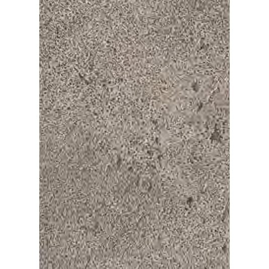 Royale Touche Laminates near me. Latest Laminate Designs. Laminates at Best Price. Laminates at wholesale price. Laminates in Bangalore. DD 1446. Offers best price at wholesale rate. Building Material Supply, Home Interior Depot, Euro Pratik, Gala, Rang, Khidkihomes, Youcraft, Frikly, IBO.