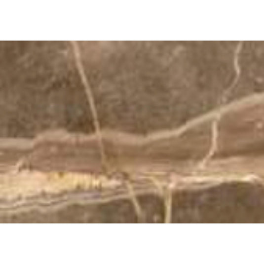 Royale Touche Laminates near me. Latest Laminate Designs. Laminates at Best Price. Laminates at wholesale price. Laminates in Bangalore. HD 7049. Offers best price at wholesale rate. Building Material Supply, Home Interior Depot, Euro Pratik, Gala, Rang, Khidkihomes, Youcraft, Frikly, IBO.