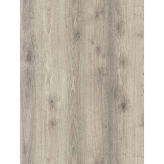 Axilam 1266 SF+ Suede Finish Laminate | 8 ft x 4 ft | 1mm Thickness. Axilam Suede Finish Laminates at Best Price. Axilam Suede Finish Laminates. Axilam Suede Finish Laminates Near me. Axilam Suede Finish Laminates in Bengaluru. Suede Finish Laminates. 8 ft x 4 ft Axilam Suede Finish Laminates. Laminates. 1mm Thickness Axilam Suede Finish Laminates in Bengaluru. Offers best price at wholesale rate. Building Material Supply, Home Interior Depot.
