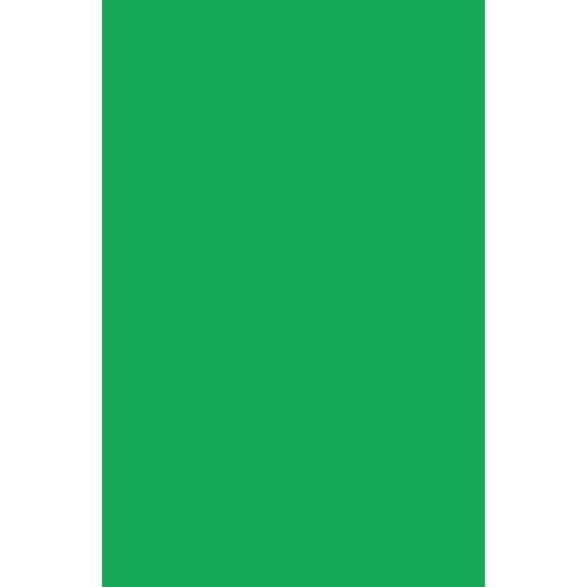 Virgo Laminates. Decorative Laminates near me. Laminats near me. Virgo Abco 7837 HG Parrot Green Laminate. Offers best price at wholesale rate. Building Material Supply, Home Interior Depot, Euro Pratik, Gala, Rang, Khidkihomes, Youcraft, Frikly, IBO. All Interior Material, Home Interior Depot