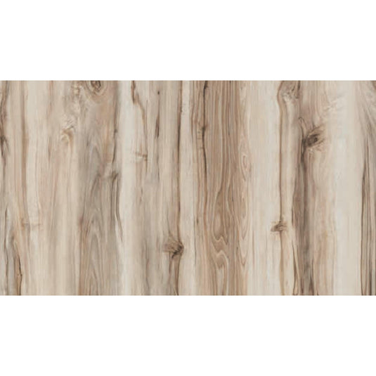 0.8 mm Century laminates by "I for Interior" at Kugur 562125 Karnataka Bangalore. Offers best price at wholesale rate. Laminates near  me. Century 83765 GL Grey Elm High Gloss Laminate. Offers best price at wholesale rate. Material Depot, Euro Pratik, Gala. Latest Laminate designs. Laminates in Bangalore. Laminates at Best Price. Laminates in Bengaluru. Century 0.8 mm Laminates. Century laminates near me.