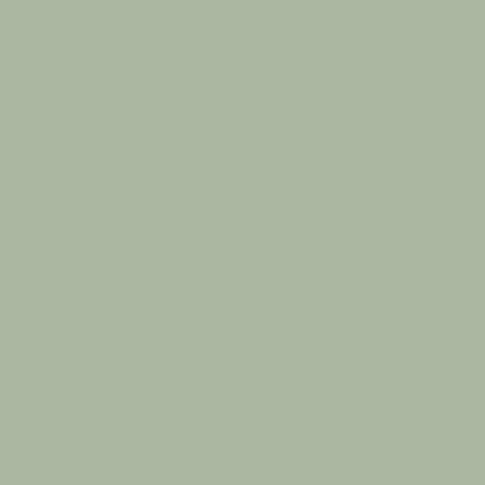 Treelam Armasa AS 114 High Gloss ASA Deco Sheet | 8ft x 4ft | 1 mm Thickness. Treelam Armasa ASA Deco Sheet at Best Price. Treelam High Gloss ASA Deco Sheet. IFI Treelam Armasa ASA Deco Sheet Near me. Treelam Armasa ASA Deco Sheet in Bengaluru/Bangalore. Deco Sheets. Scratch Restant Treelam Armasa ASA Deco Sheet. Building Material Supply, Home Interior Depot, Euro Pratik, Gala, Rang, Khidkihomes, Youcraft, Frikly, IBO.