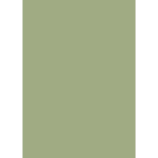 1 mm Century laminates by "I for Interior" at Hebbal Kempapura 560024 Karnataka Bangalore. Offers best price at wholesale rate. Laminates near me. Pista Green 276 Texture Laminate. Material Depot, Euro Pratik, Gala. Latest Laminate designs. Laminates in Bangalore. Laminates at Best Price. Laminates in Bengaluru. Century 1 mm Laminates. Century laminates near me.