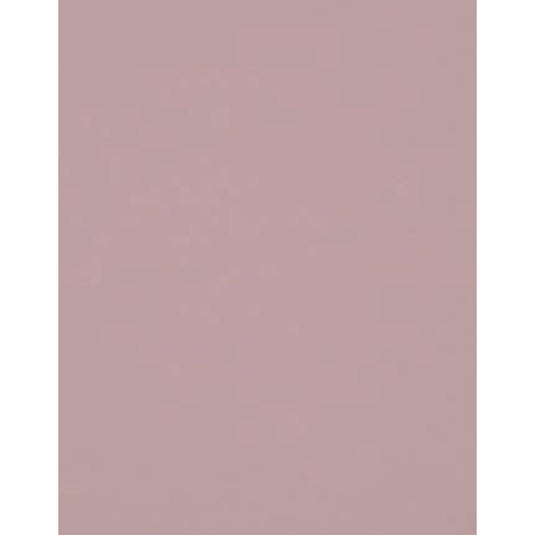 0.8 mm Century laminates by "I for Interior" at Virgonagar 560049 Karnataka Bangalore. Offers best price at wholesale rate. Laminates near  me. Century S1251 MT Blush Pink Matt Finish Laminate. Offers best price at wholesale rate. Material Depot, Euro Pratik, Gala. Latest Laminate designs. Laminates in Bangalore. Laminates at Best Price. Laminates in Bengaluru. Century 0.8 mm Laminates. Century laminates near me.