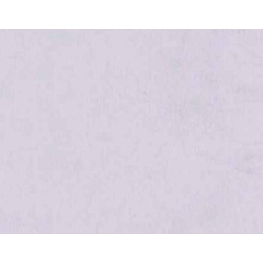 1 mm Century laminates by "I for Interior" at Mallathahalli 560056 Karnataka Bangalore. Offers best price at wholesale rate. Laminates near me. Silver Brush 1001 BR Texture Laminate. Material Depot, Euro Pratik, Gala. Latest Laminate designs. Laminates in Bangalore. Laminates at Best Price. Laminates in Bengaluru. Century 1 mm Laminates. Century laminates near me.